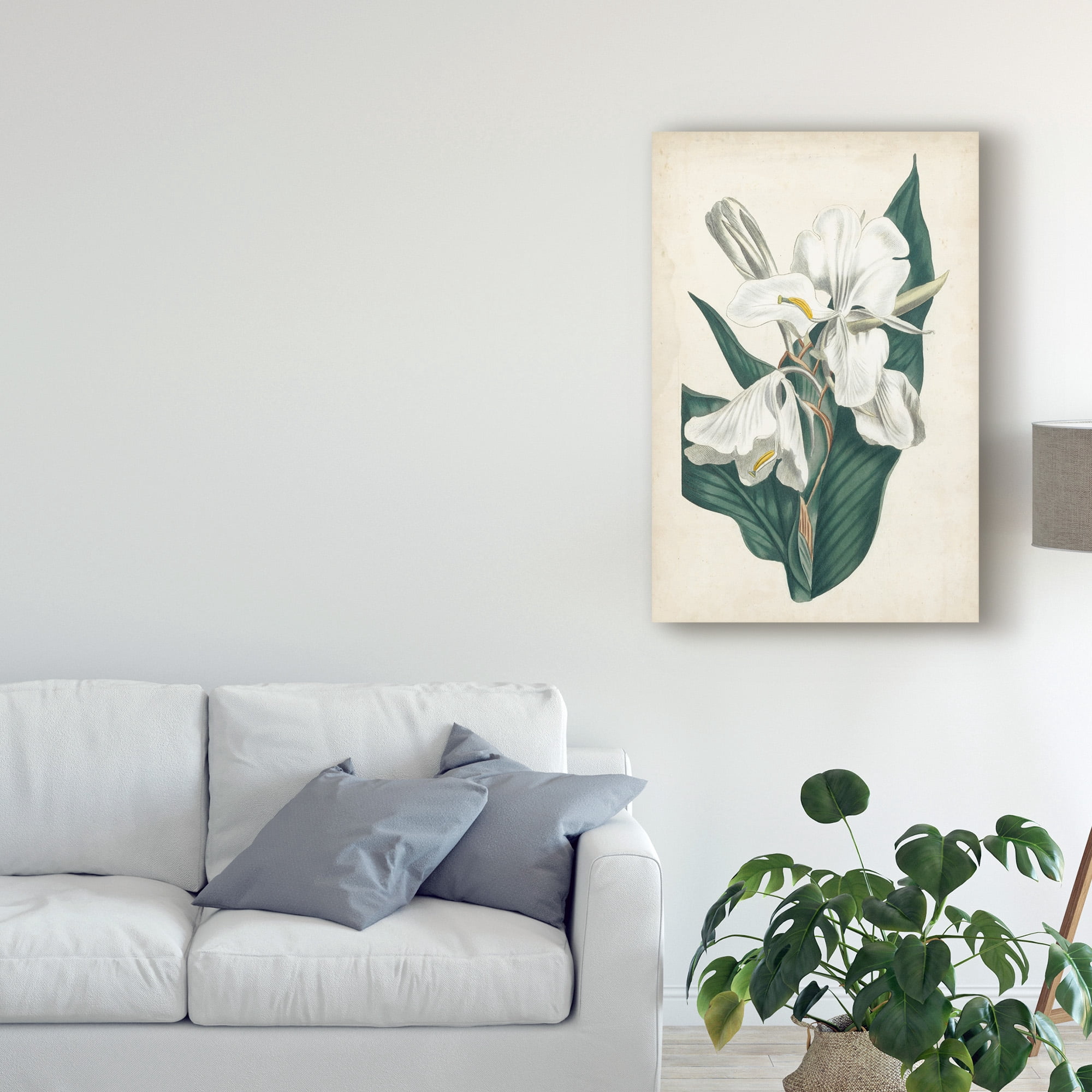 Trademark Fine Art 'Ivory Garden IV' Canvas Art by Curtis