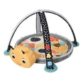 thumbnail image 4 of Gimnasio Bebe Aeiou Musical Luces Pelotas Abeja, 4 of 5