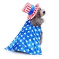 thumbnail image 2 of Lindo abrigo acogedor con bandera para perro con sombrero para Navidad S, 2 of 9