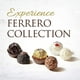 Boîte cadeau de confiseries au chocolat et à la noix de coco assorties de la Collection Ferrero 259g, 24 pièces – image 4 sur 6