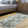 thumbnail image 3 of REGALWOVEN Faux Fur Area Rug Shaggy Floor Mat, Light Gray 2x5 feet Rectangle, 3 of 8