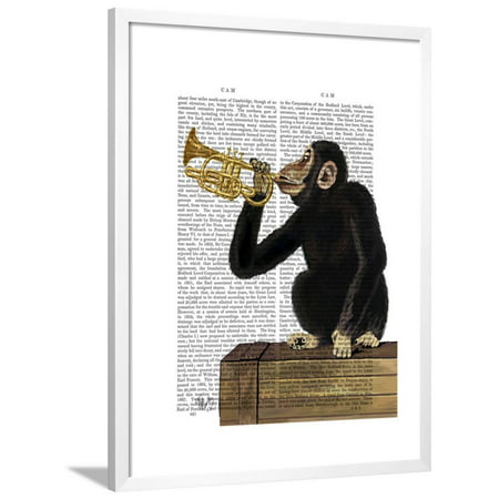 Monkey Playing Trumpet Framed Print Wall Art By Fab