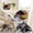 E, variant on Pet Helmet Costume Accessory for Dogs Cats,Mini Motorcycle Half Helmet Prop for Teddy Bear,Cute Cosplay Decorative Toys for Pet Dress Up Party Photography,Universal Size,B