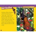 thumbnail image 3 of Bats, 3 of 3