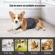 thumbnail image 2 of Bandas para el vientre para perros masculinos, tela transpirable para perros, cubierta impermeable antisuciedad para el vientre, tela lavable para mascotas, 2 of 8