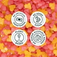 thumbnail image 4 of Barbie SmartSweets Pink Lemonade Dream Gummy Candy 1.8 oz Pouch 2 Pack, 4 of 5