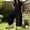 Black, variant on Women's Loose-Fitting Linen Jumpsuit with Short Sleeves and Solid Color