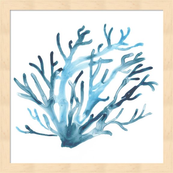 Azure Seafan IV by June Erica Vess, Framed Wall Art, 13.25W x 13.25H