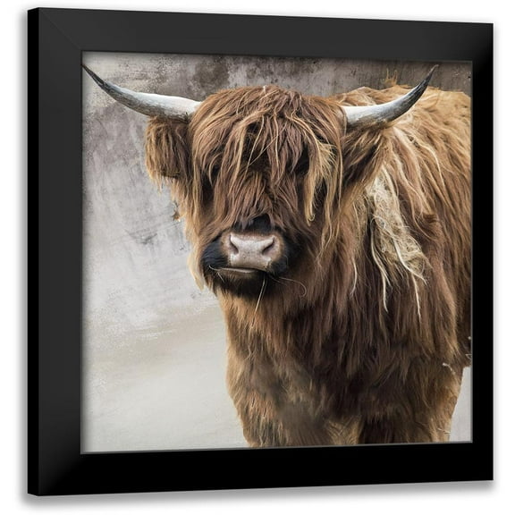 Sommers, Mindy 12x12 Black Modern Framed Museum Art Print Titled - Highland Cow