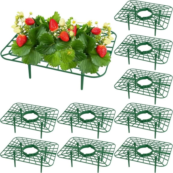 10 Pack Strawberry Supports - Strawberry Plant Support Stand Strawberry Growing Racks Protector Strawberry Growing Frame Holder Cage Helps Support and Prevent Rotting (Green)