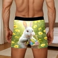 thumbnail image 2 of XIAONU Men's Easter Bunny Print Boxer Briefs Slim Fit Mid Length Elastic Waistband Soft Stretchy Underwear, 2 of 6