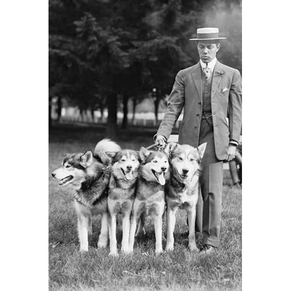 Four Eskimo Dogs at the Mineola Dog Show-Fine art canvas print (20" x 30")