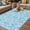 SkyBlue, variant on Grey Spring Floral Outdoor Rug for Patio/Deck/Porch, Non-Slip Large Area Rug 3 x 5 Ft, Farmhouse Flowers Elegant Pastoral Indoor Outdoor Rugs Washable Area Rugs, Reversible Camping Rug Carpet Runner