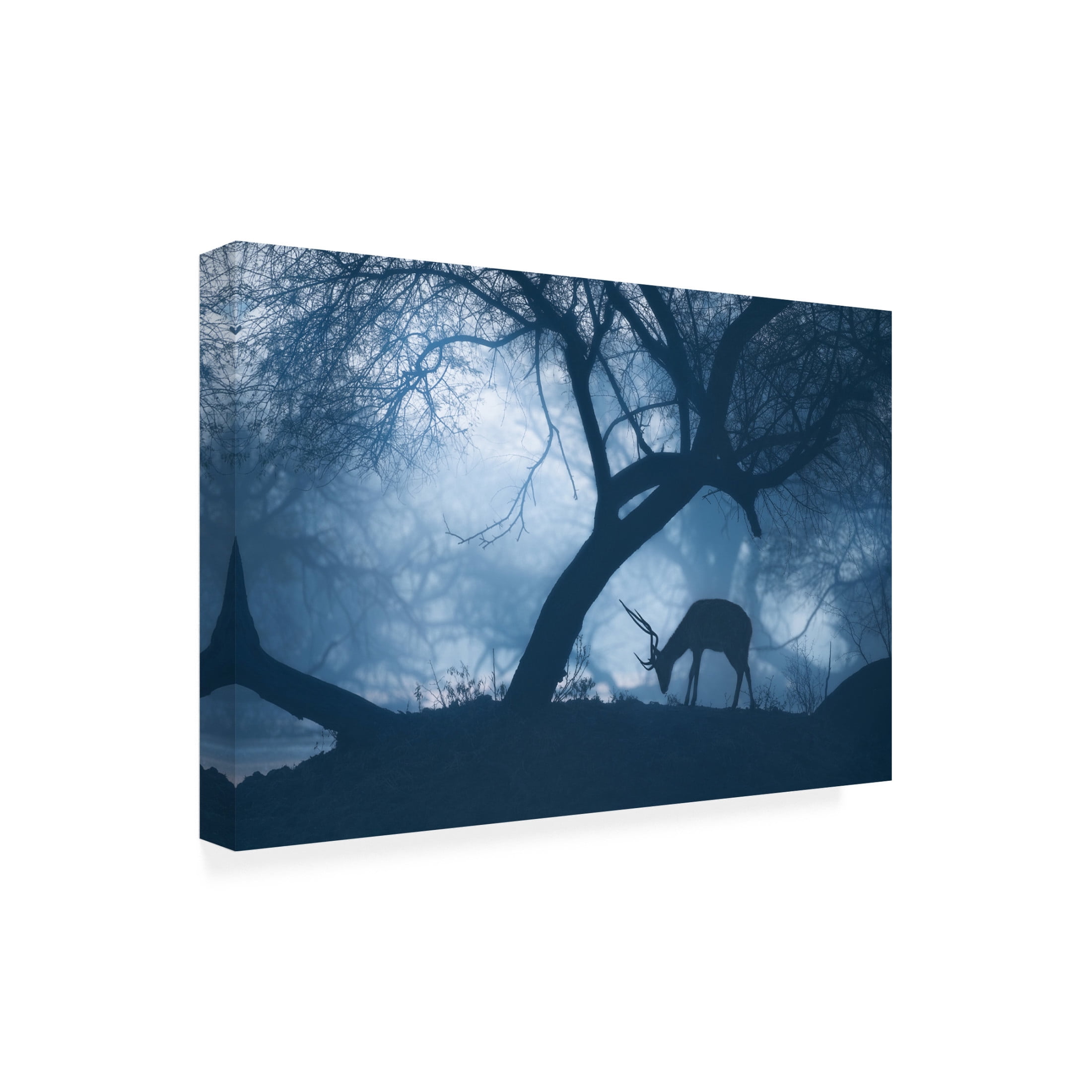 Trademark Fine Art Jayanta Guha Misty Winter Morning Canvas Wall Art