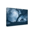 thumbnail image 4 of Trademark Fine Art Jayanta Guha Misty Winter Morning Canvas Wall Art, 4 of 4
