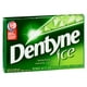 Dentyne Ice Menthe verte, gomme sans sucre, 1 paquet (12 morceaux) 16 x 235 mL – image 4 sur 11