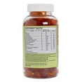 Berkley Jensen Adult Multivitamin Gummies, 250 ct.