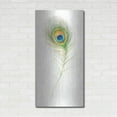 thumbnail image 3 of Luxe Metal Art 'Jaipur X' by Danhui Nai, Metal Wall Art, 24"x48", 3 of 10