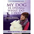 thumbnail image 1 of My Dog Is Dying: What Do I Do?: Emotions, Decisions, and Options for Healing, 1 of 2