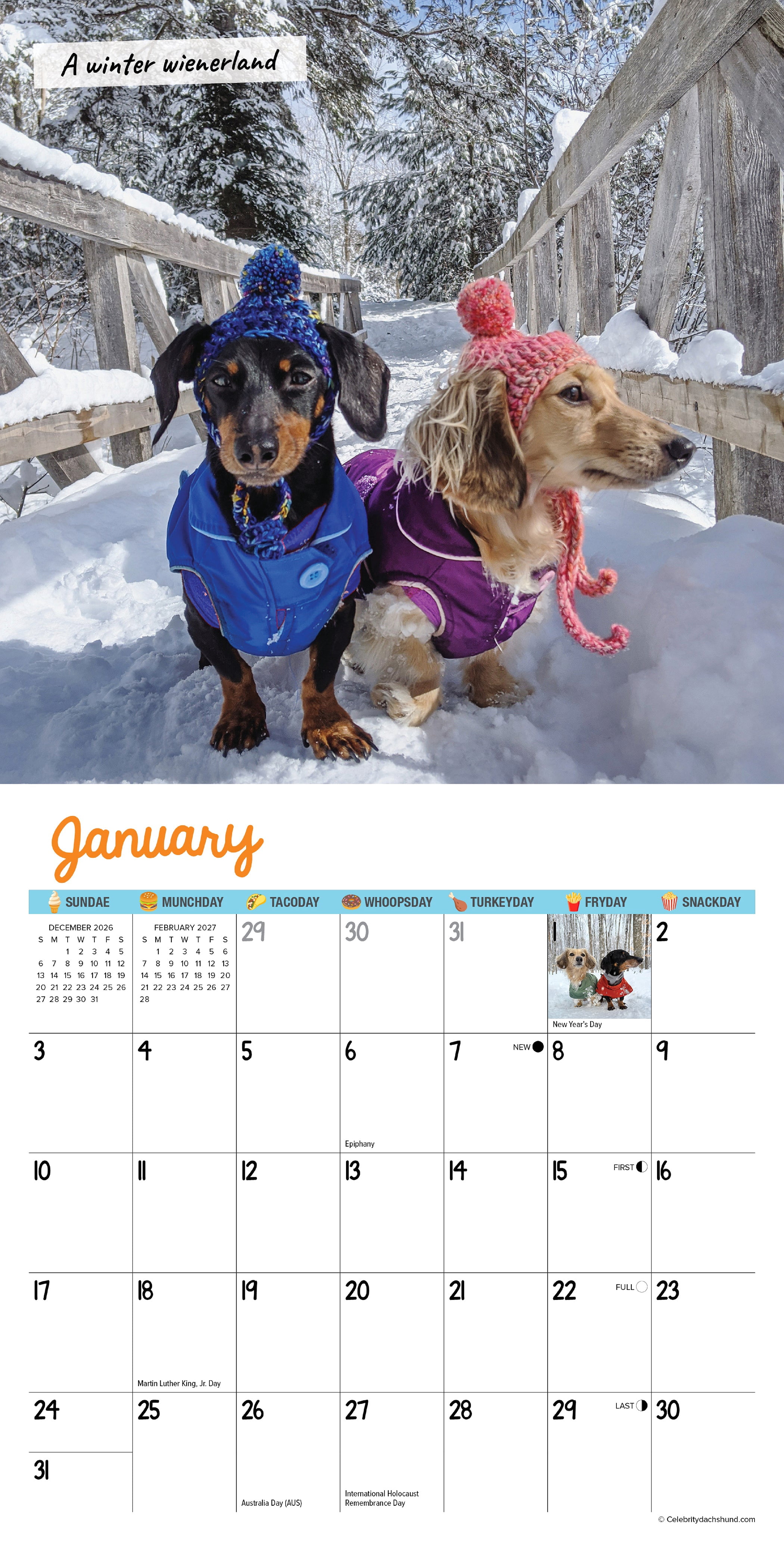 Willow Creek Press, Crusoe the Celebrity Dachshund 2027 Mini Wall Calendar