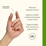 Swanson Gabaplex with L-Tyrosine and L-Theanine 60 Veggie Capsules