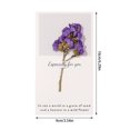 Blank Stationery Greeting Storage 4x6 Blank Cards Dried Flower