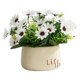 thumbnail image 2 of Plantas de flores artificiales en macetas, vegetación en macetas, pequeñas plantas falsas, flores de imitación de plástico con jarrón de cerámica para Margarita blanca Soledad Bonsái en maceta, 2 of 7