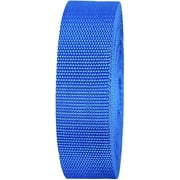 CWD - Lightweight Polypropylene Webbing - Poly Strapping for Outdoor DIY Gear Repair, Pet Collars, Crafts – 1 Inch Wide Color Pacific Blue, 10 Yards