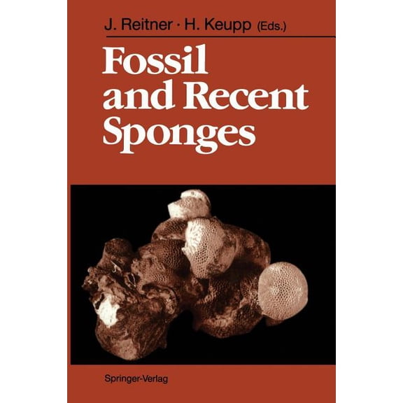 Fossil and Recent Sponges, (Paperback)