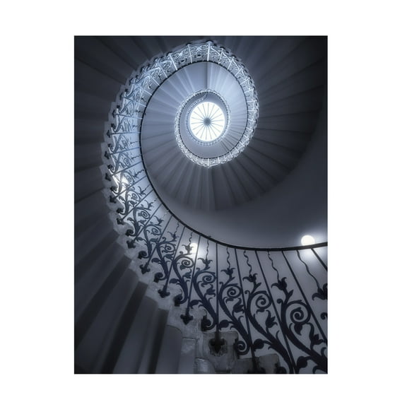 Massimo Cuomo 'Tulip Stairs' Canvas Art - 14 x 19 Inches