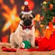 thumbnail image 4 of EeaseMX 2 collares creativos para mascotas y gorro navideño para perro con cascabel, accesorios para perros, 4 of 7