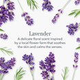 thumbnail image 4 of Toallitas faciales y corporales Beekman 1802 con aroma a lavanda, 30 unidades, 4 of 8
