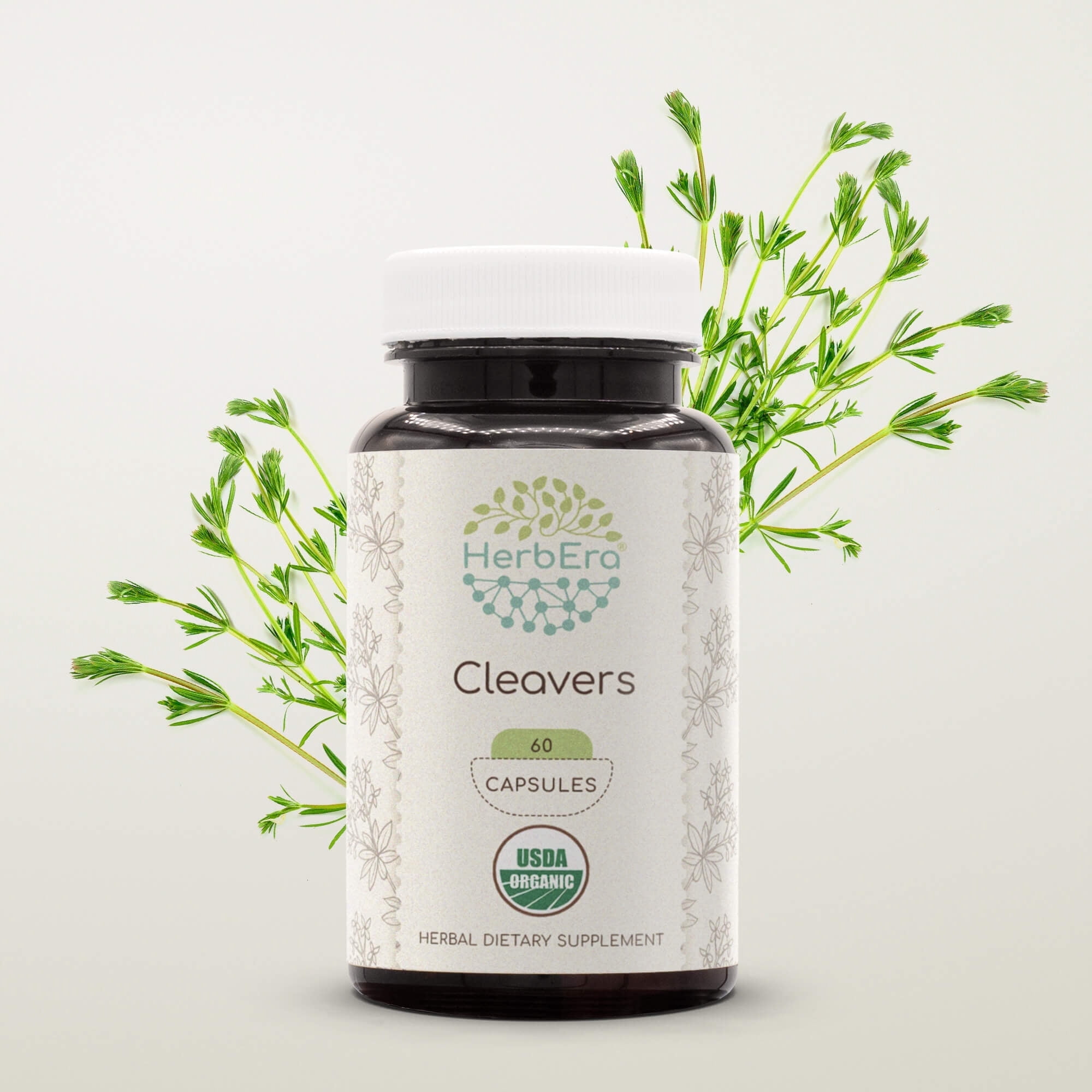 HerbEra Cleavers Capsules, Organic Herbal Dietary Supplement for Urinary Support, Certified Organic Cleavers (Galium aparine) Dried herb Capsules, Natural, 60 Capsules
