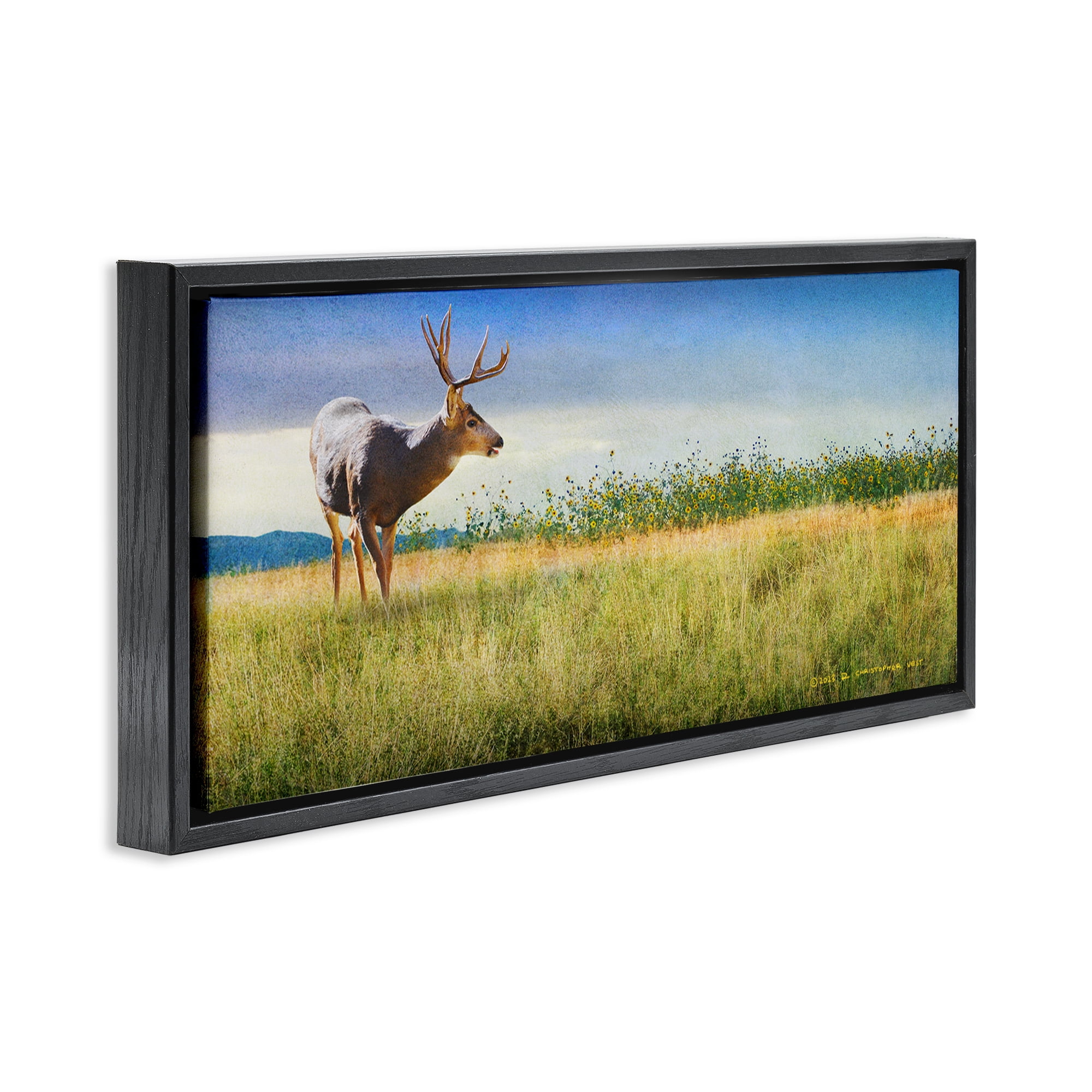 Stupell Industries Buck Deer in Field Landscape & Nature Photography Black Floater Framed Canvas Art Print Wall Art, 31 x 14