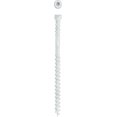 thumbnail image 4 of SPAX Trim Screw Wood #8 x 2-1/2 White HCR - Double Threaded - 100 Pieces, 2.5", White, 4 of 4