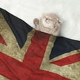 thumbnail image 7 of Pet Blanket Union Jack Flag Soft Warm Sofa Car Bed Protector Washable for Puppy Large Dogs Cats, 7 of 7