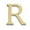R, variant on Decorative Gold Letter Z 3D Wall Hanging or Tabletop Initials for Home, Office, Nursery, and Wedding Decor 8 Inches Tall