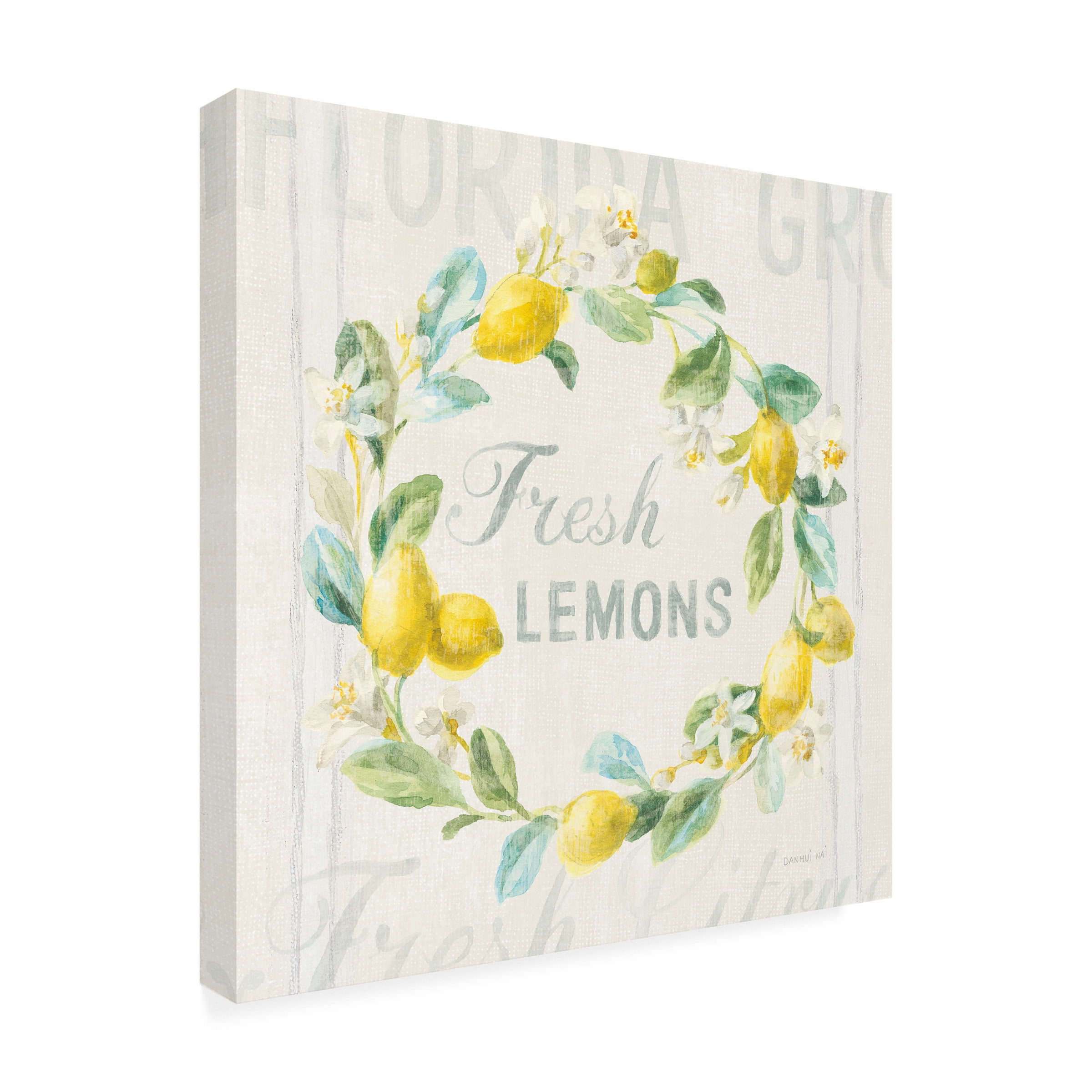 Trademark Fine Art 'Floursack Lemon V' Canvas Art by Danhui Nai