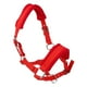 thumbnail image 5 of Cómodo cabestro acolchado para caballo, cabezada, collarín protector para carreras de caballos Rojo S, 5 of 7