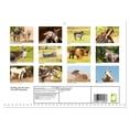 thumbnail image 2 of Donkey joie de vivre - fun with long ears (Monthly Wall Calendar 2026 16.5 x 23.4 (open)), CALVENDO 14 Month Calendar, 2 of 9