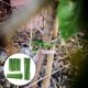 thumbnail image 5 of 150 Uds. Bridas ajustables para plantas de jardín, bridas de plástico para cables, bridas de soporte para plantas verdes, bridas flexibles para árboles WD.WDQZL Hogar, 5 of 5