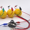 thumbnail image 3 of STRANDCHIC 5Pack DIY Fruit Electricity Kit Science Experiment for Kids Hands-on Ability, 3 of 5
