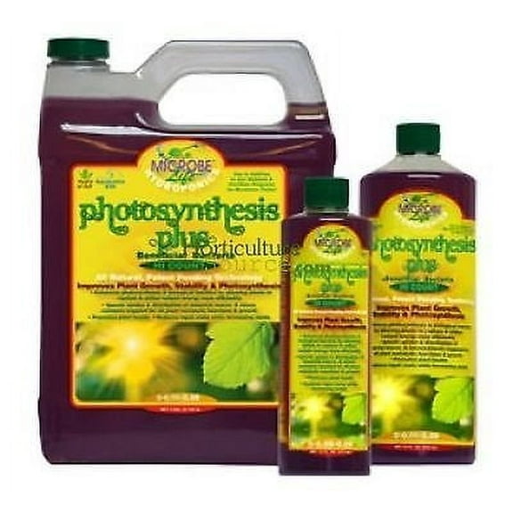 Microbe Life Photosynthesis Plus Quart