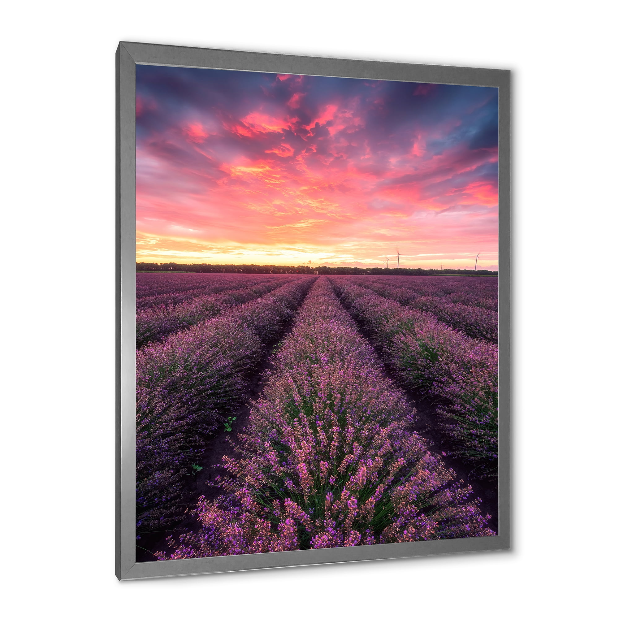 Designart 'Dramatic Clouds and Sunrise Over Lavender Field XIV' Farmhouse Framed Art Print