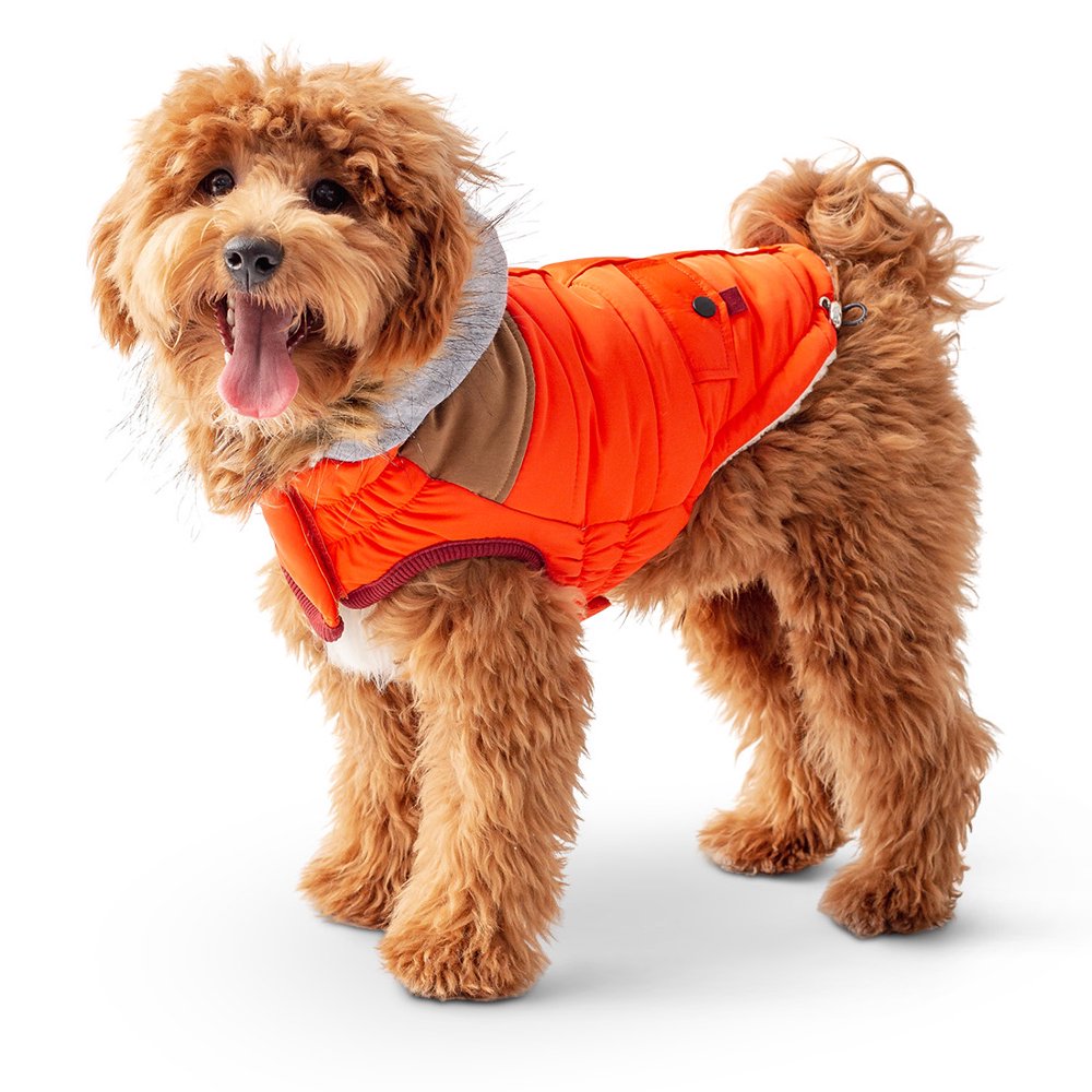 GF PET Lodge Dog Parka Coat with Hood Elastofit Technology, Windproof