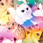 Stylish Fabric Cotton Quilting Fabric for DIY Projects, 44 in, Animal Print, Animals & Insects, 1 Yard, White, Pink, Teal