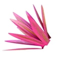 thumbnail image 1 of Toystoory 9 piezas de hojas de agave DIY montaje arte del hierro planta estatua decorativa horticultura jardinería regalo para jardín Decoración del hogar Rojo, 1 of 6