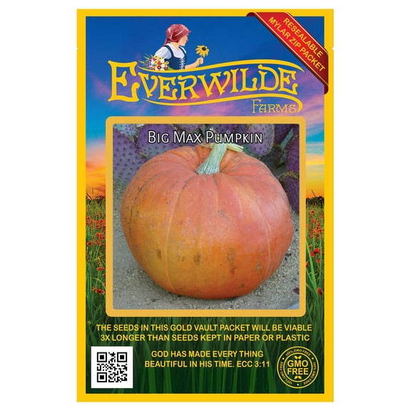 Everwilde Farms - 30 Big Max Pumpkin Seeds - Gold Vault Seed Packet