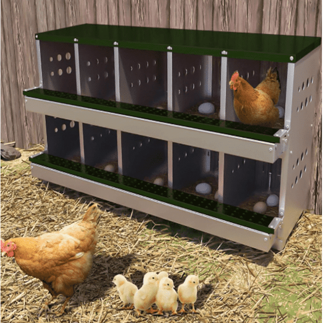 Alician 10 Compartment Metal Chicken Nesting Box for Laying Eggs, Rustproof Wall-mountable Roll Away Chicken Laying Boxes
