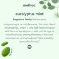 thumbnail image 3 of Limpiador en spray para ducha Method Daily Eucalyptus Mint 828 ml, 3 of 7